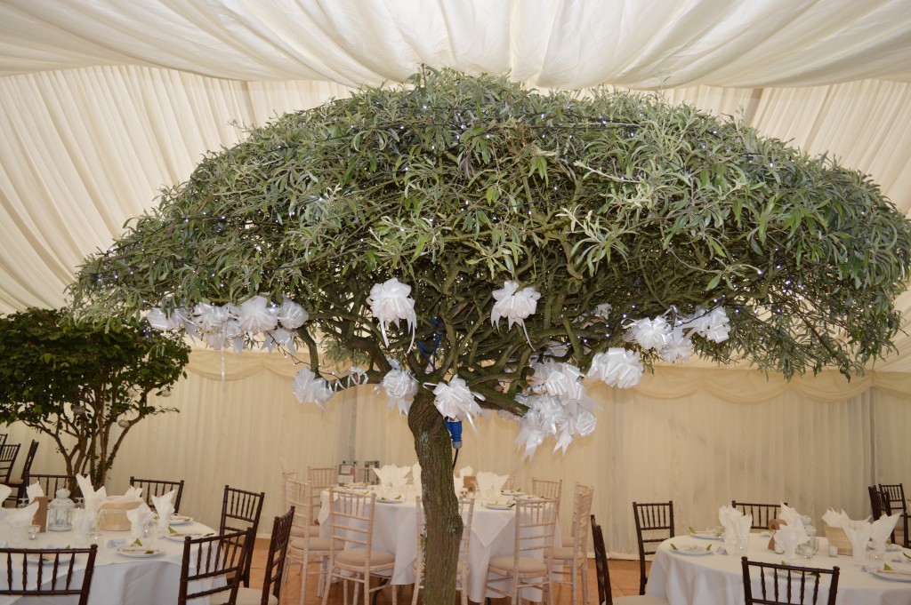 mahogany-chiavari-wedding-chairs (2)